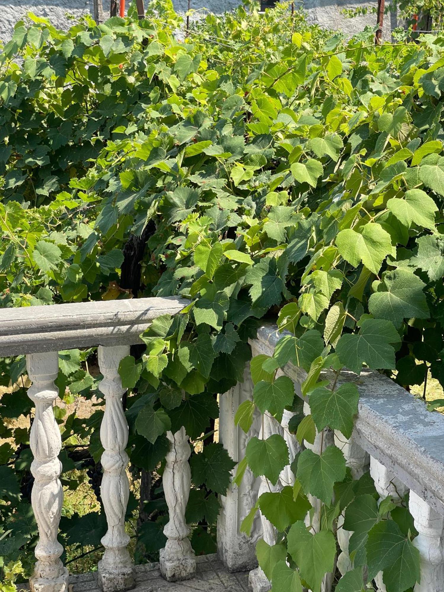 Hotel Riti Široka Εξωτερικό φωτογραφία